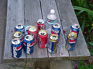 Proof that SVFIG recycles.